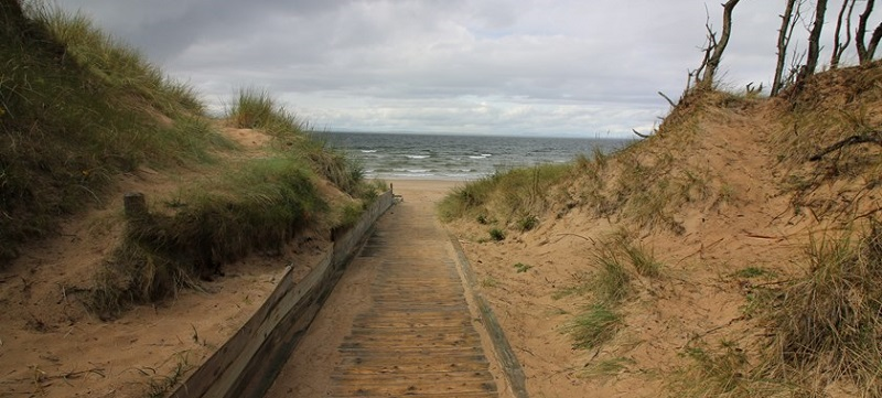 Photo of boardwalk and beach at Roseisle Forest.