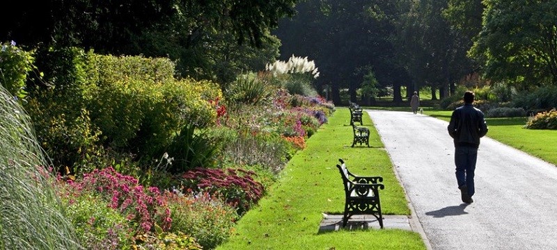 Photo of Bute Park.