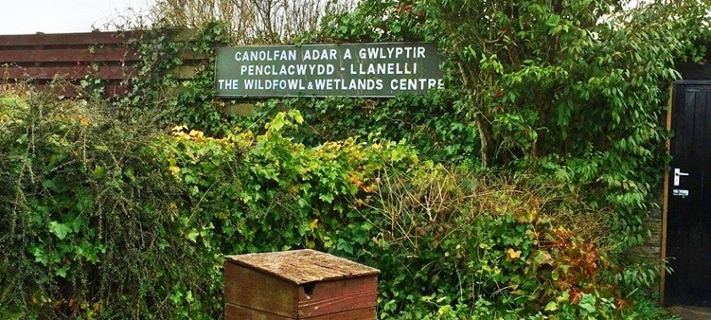 Photo of WWT Llanelli Wetlands.