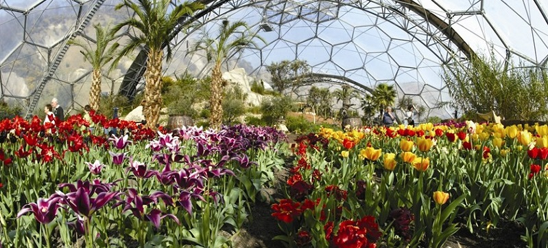 Photo of Eden Project.