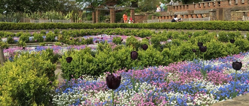 Photo of the gardens at Horniman Museum and Gardens.