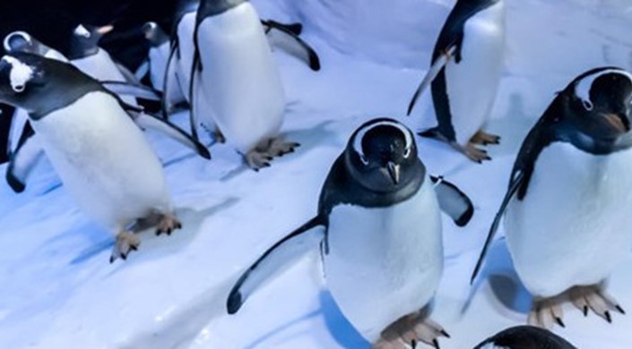 What's on in December 2018