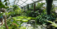 Guided Discovery Bus tours at Kew Gardens