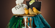 Wild & Windy Songs & Stories at the Scottish Storytelling Centre