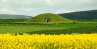 Guided tour of Maeshowe Chambered Cairn