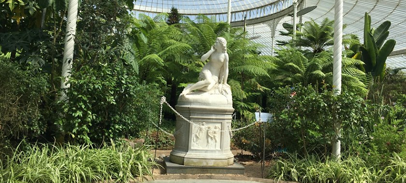 Photo taken in the glasshouse at Glasgow Botanic Gardens.
