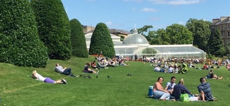 Photo of people relaxing in a park.
