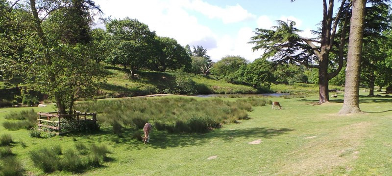 Photo of a path at Bradgate Park.