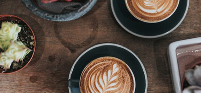 Photo of coffee and plants.