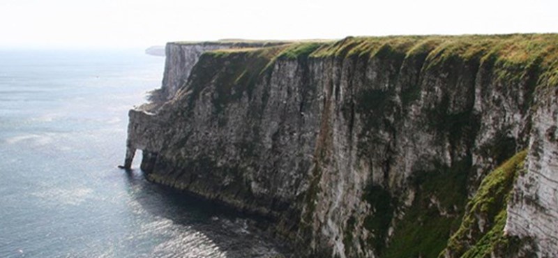 Photo of Bempton Cliffs.