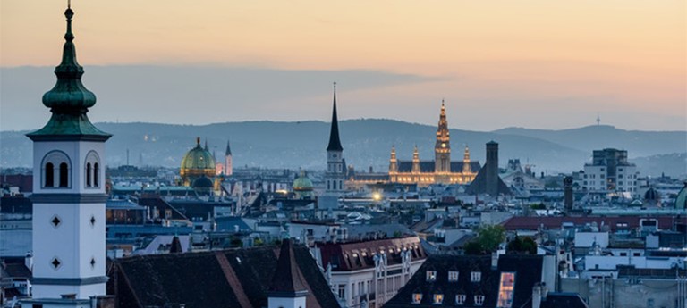 Photo of Vienna skyline.