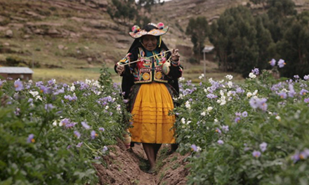 Mothers of the Land & Mass Seed Deposit with Glasgow Seed Library