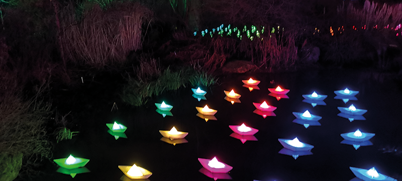 Image of coloured boats floating in the water.