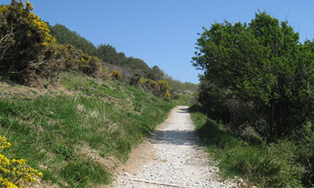 Durlston Country Park