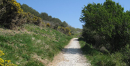 Durlston Country Park