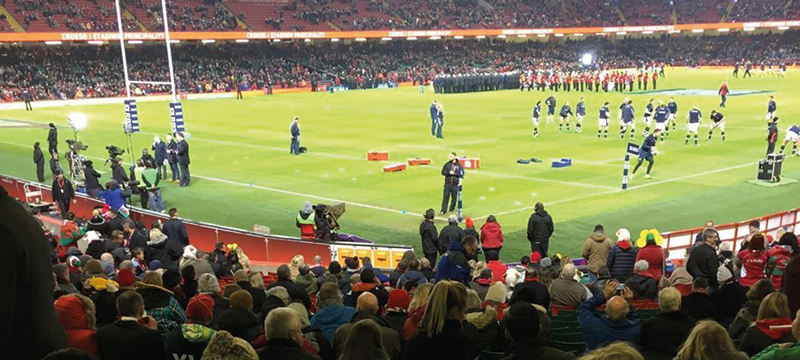 Image of pitch in Principality Stadium from accessible viewing area.