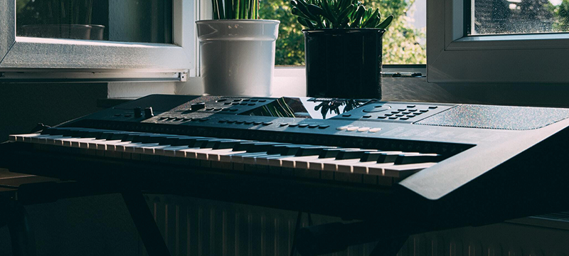 Image of a keyboard with plants and a window in the background