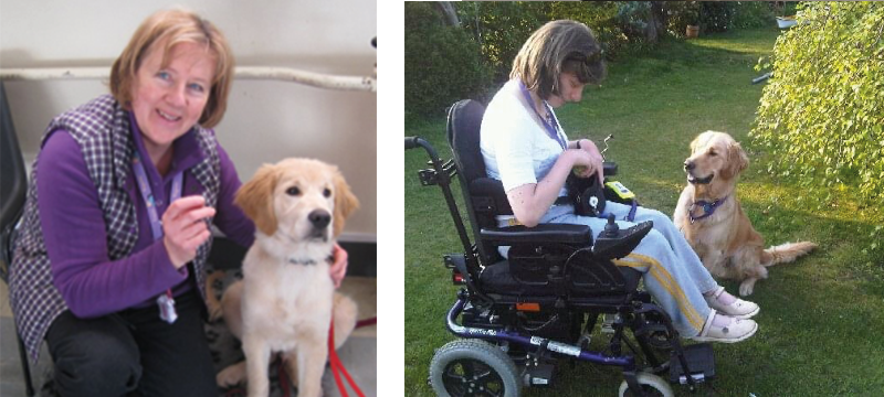 Picture on left: Remus as a puppy in training with Zoe's mum. Picture on the right: Remus and Zoe in her garden.