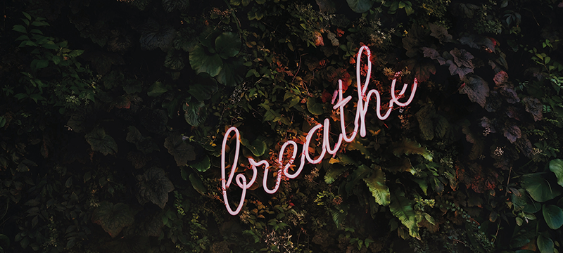 Image of a pink neon sign which spells out "Breathe."