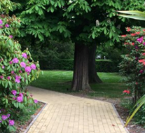Reviewing Outdoor Spaces