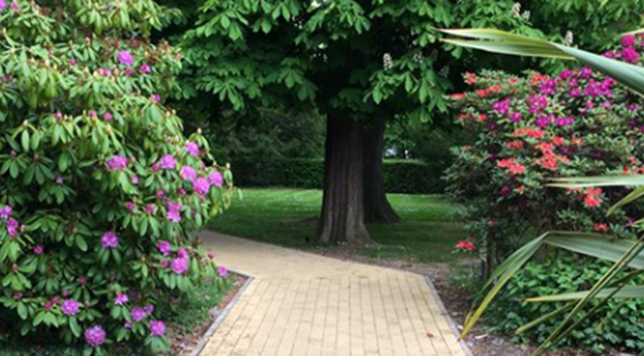 Reviewing Outdoor Spaces