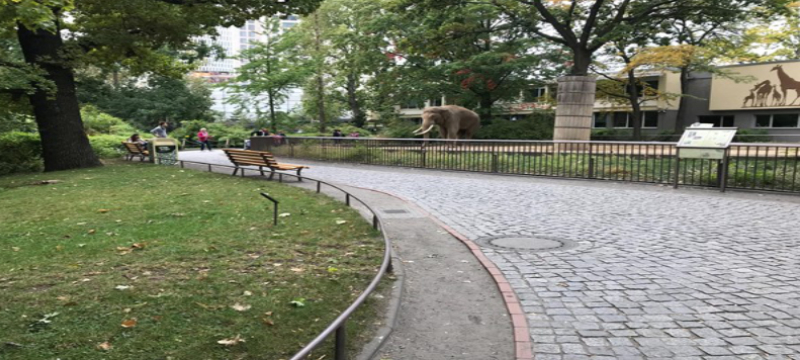 Image of the Berlin zoo, there is an elephant and a crowd to the right.