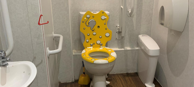 An accessible toilet with light walls and white grab rails. The toilet has a stand out seat that is meant to look like  cheese with a mouse crawling in it.