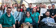 Book Festival case study