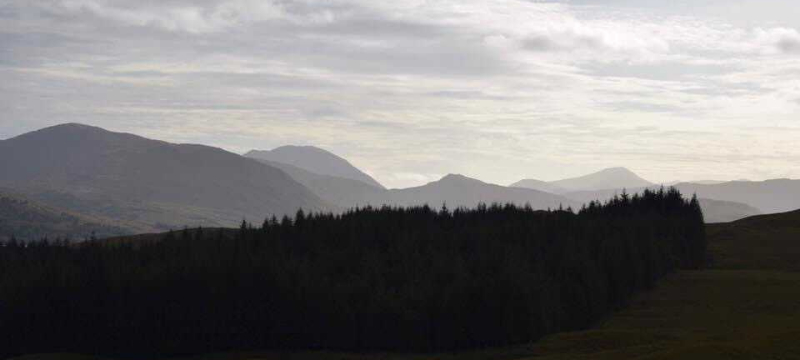 Outline of trees with mountains seen in the background and a cloudy sky above.