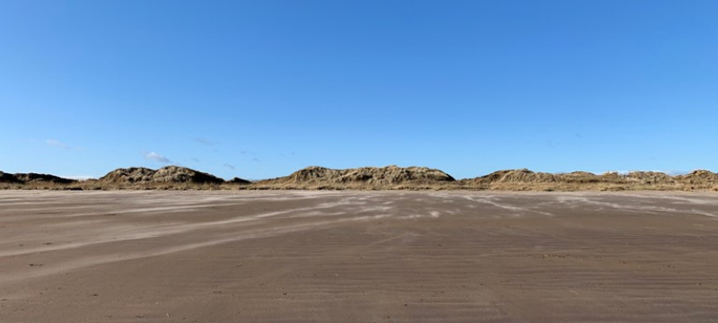 Image of the beach at West Sands Beach