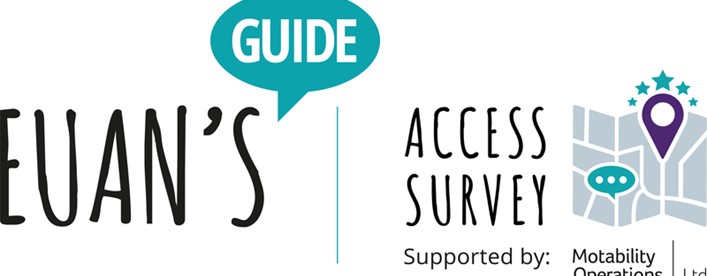The Access Survey image