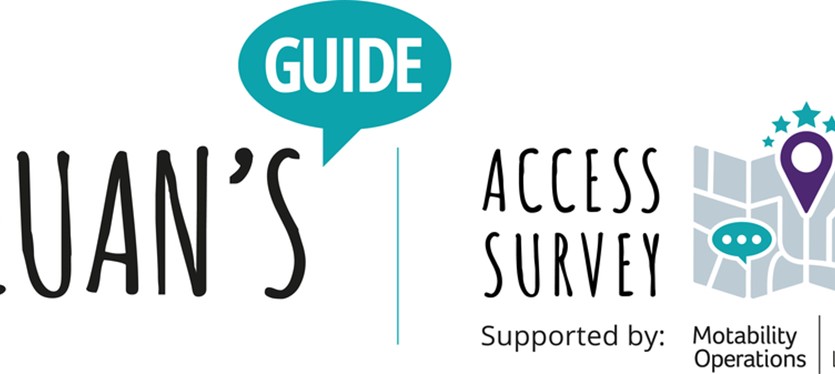 The Access Survey image