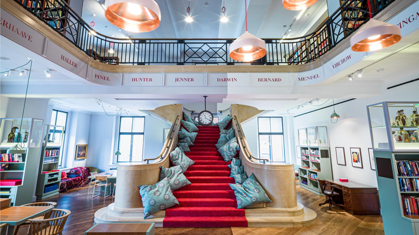 Inside area of The Wellcome Gallery with a red carpeted stair decorated with pillows on the side and numerous gallery inclusions surrounding it.