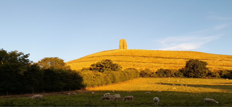 The view of a stone tower on a dry golden hill basked in sunlight with the foreground featuring grass and sheep hidden in shadow