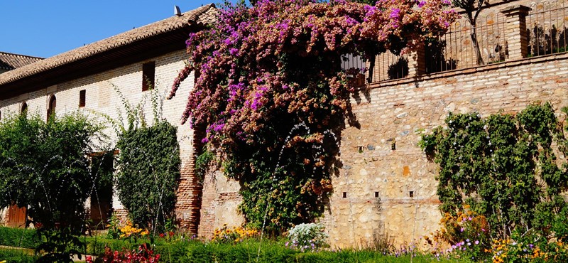 A Cottage in the sunshine with a path leading to it and flowers hanging over the wall.