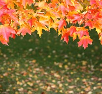 September Reviews (1)