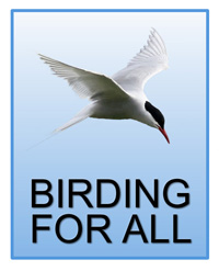 The Logo of Birding for All