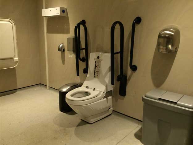 A photo of a Changing Places toilet