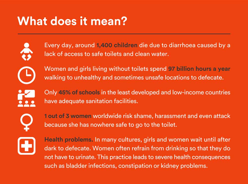 An infographic about toilets