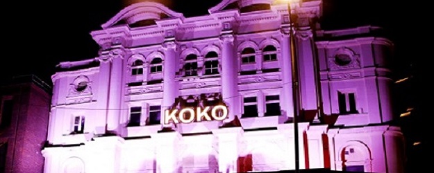 Photo of Koko.