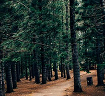 Reviewer's story: The most beautiful accessible walks for wheelchair users around England