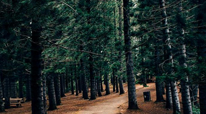 Reviewer's story: The most beautiful accessible walks for wheelchair users around England