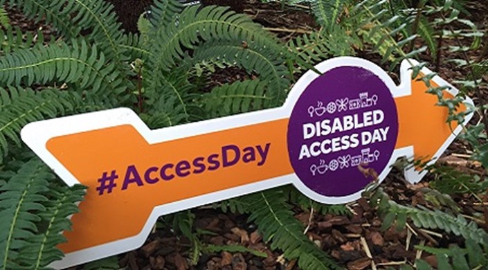 Our favourite #AccessDay reviews so far!