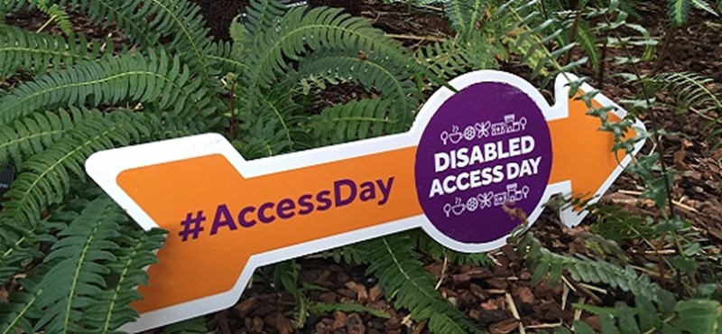 Photo of a Disabled Access Day arrow.