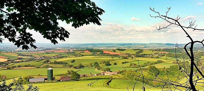 Photo of countryside and woodland.