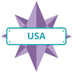 USA Explorer Badge 