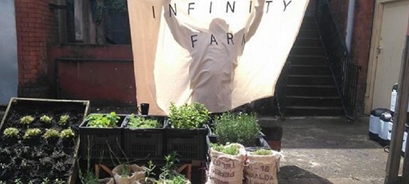 Infinity Farm.