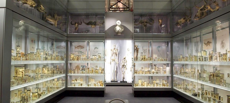 Hunterian Museum.