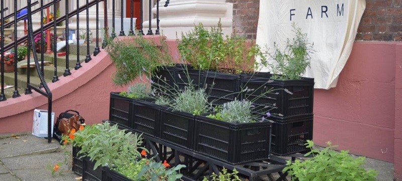 Raised flower beds.