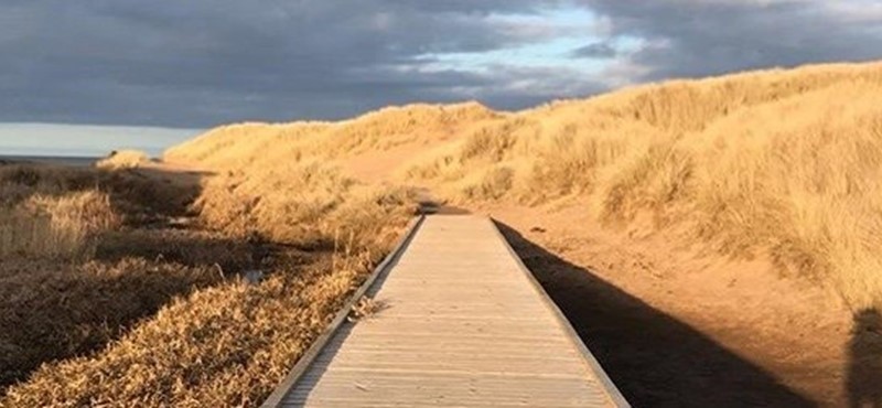 Beach path.